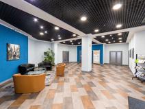 Pronájem kanceláře, Praha - Vysočany, Freyova, 276 m2