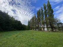 Prodej pole, Dolní Bukovsko - Bzí, 6566 m2