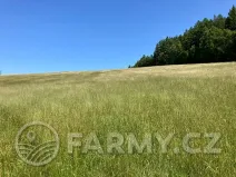 Prodej louky, Těchonín, 113108 m2