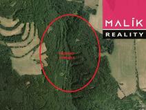 Prodej louky, Stráž nad Ohří, 308543 m2