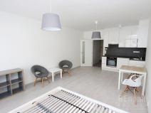 Pronájem bytu 1+kk, Praha - Karlín, Sokolovská, 35 m2