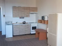 Pronájem bytu 1+kk, Ostrava, Závoří, 32 m2