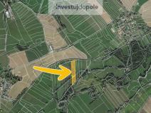 Prodej louky, Běhařov, 10426 m2