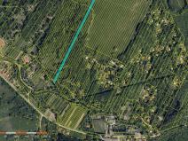 Prodej louky, Nová Lhota, 6791 m2
