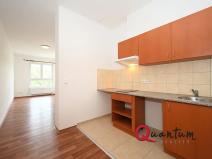 Pronájem bytu 1+kk, Otvovice, 30 m2