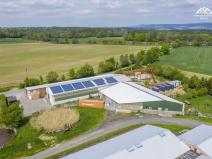 Pronájem výrobních prostor, Chotěboř, 1694 m2