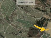 Prodej pole, Olšovice, 2234 m2