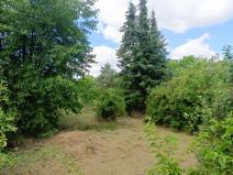 Pronájem zahrady, Plzeň, Klatovská, 680 m2