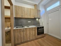 Pronájem bytu 1+kk, Brno, Cejl, 25 m2