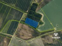 Prodej podílu lesa, Štítary, 3941 m2