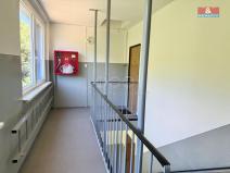 Prodej bytu 4+1, Litvínov - Janov, Luční, 78 m2