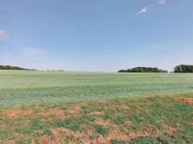 Prodej pole, Dolní Bojanovice, 3611 m2