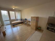 Pronájem bytu 1+kk, Borovany, Třeboňská, 28 m2