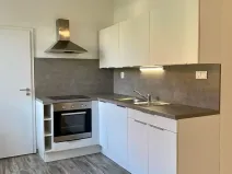 Pronájem bytu 1+kk, Ostrava, Hasičská, 40 m2