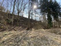 Prodej lesa, Třebovice, 346 m2