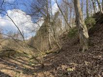 Prodej lesa, Třebovice, 346 m2