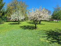 Pronájem zahrady, Studnice - Starkoč, 850 m2