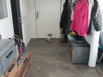 Prodej bytu 2+kk, Mladá Boleslav, Laurinova, 63 m2