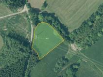 Prodej louky, Věžovatá Pláně, 4193 m2