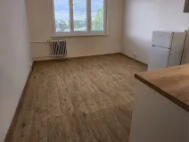 Pronájem bytu 1+kk, Cheb, 17. listopadu, 20 m2