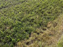 Prodej pole, Žďár nad Sázavou, 6249 m2