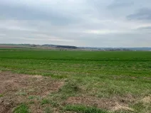 Prodej pozemku pro bydlení, Nýřany, 1000 m2