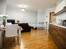 Pronájem bytu 1+kk, Praha - Žižkov, Ke kapslovně, 52 m2