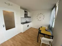 Pronájem bytu 1+kk, Praha - Karlín, Molákova, 30 m2