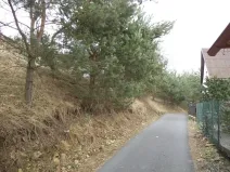 Dražba louky, Chyňava, 3291 m2