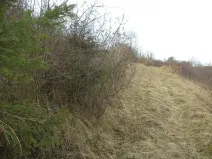 Dražba louky, Chyňava, 3291 m2