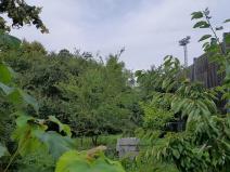 Prodej zahrady, Ostrava, 875 m2