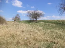 Dražba louky, Pec, 5703 m2