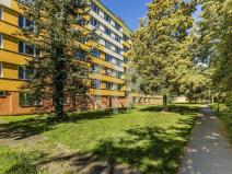 Pronájem bytu 2+1, České Budějovice - České Budějovice 3, Pekárenská, 70 m2