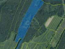 Prodej lesa, Suchdol nad Lužnicí - Klikov, 22334 m2