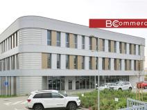 Pronájem obchodního prostoru, Brno, Polní, 460 m2