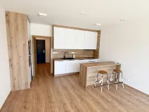 Pronájem bytu 1+kk, Přerov, Seifertova, 39 m2