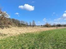 Prodej pole, Františkovy Lázně, 7083 m2