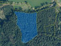Prodej lesa, Benešov nad Černou, 11009 m2