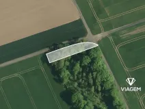 Prodej lesa, Měrovice nad Hanou, 482 m2