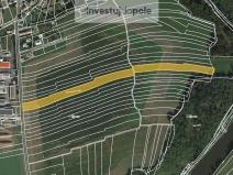 Prodej pole, Hromnice - Nynice, 27700 m2