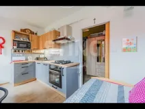 Pronájem bytu 1+1, Opava, Polanova, 32 m2