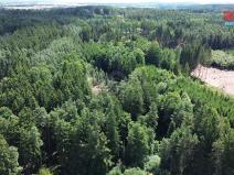 Prodej lesa, Opařany - Olší, 5323 m2