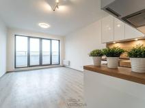 Pronájem bytu 1+kk, Brno, Opuštěná, 29 m2