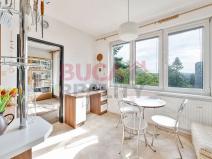 Prodej bytu 1+1, České Budějovice, J. Opletala, 38 m2