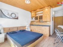 Prodej bytu 1+kk, Jiřetín pod Bukovou, 21 m2