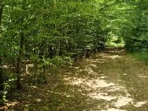 Prodej pole, Bílá Lhota, 1851 m2