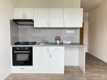 Pronájem bytu 1+1, Litvínov, Čapkova, 38 m2