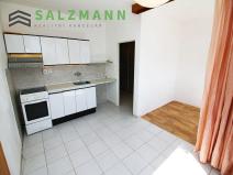 Pronájem bytu 1+1, Plzeň, K Pecím, 46 m2