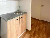 Pronájem bytu 3+kk, Most, Růžová, 56 m2