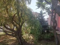 Prodej rodinného domu, Božice, 233 m2